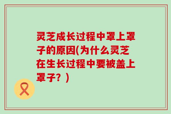 灵芝成长过程中罩上罩子的原因(为什么灵芝在生长过程中要被盖上罩子？)