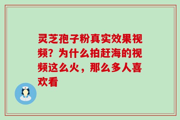 灵芝孢子粉真实效果视频？为什么拍赶海的视频这么火，那么多人喜欢看