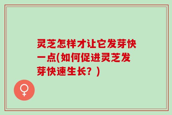 灵芝怎样才让它发芽快一点(如何促进灵芝发芽快速生长？)