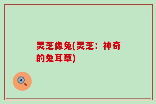 灵芝像兔(灵芝:神奇的兔耳草) 灵芝像兔(灵芝:神奇的兔耳草)