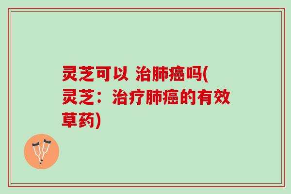 灵芝可以 治肺癌吗(灵芝：治疗肺癌的有效草药)