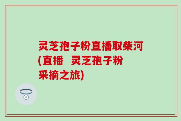 灵芝孢子粉直播取柴河(直播  灵芝孢子粉采摘之旅)