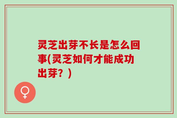 灵芝出芽不长是怎么回事(灵芝如何才能成功出芽？)
