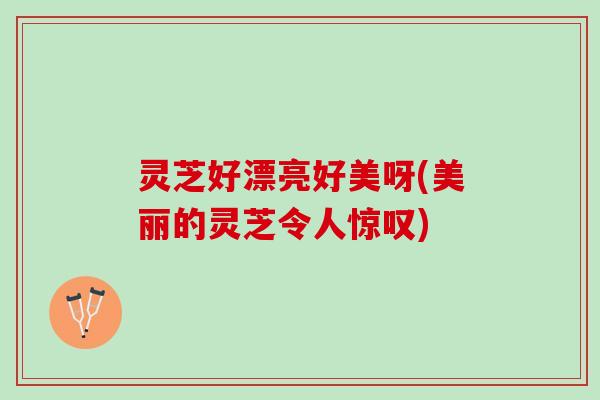 灵芝好漂亮好美呀(美丽的灵芝令人惊叹)