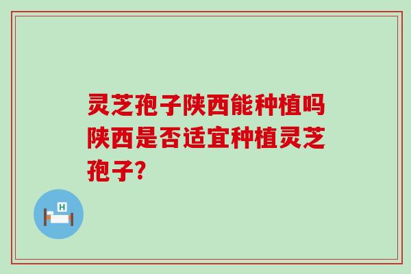 灵芝孢子陕西能种植吗陕西是否适宜种植灵芝孢子？