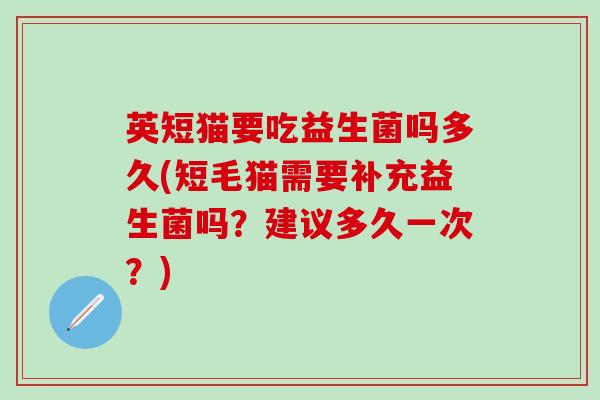 英短猫要吃益生菌吗多久(短毛猫需要补充益生菌吗？建议多久一次？)