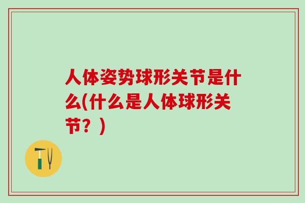 人体姿势球形关节是什么(什么是人体球形关节？)