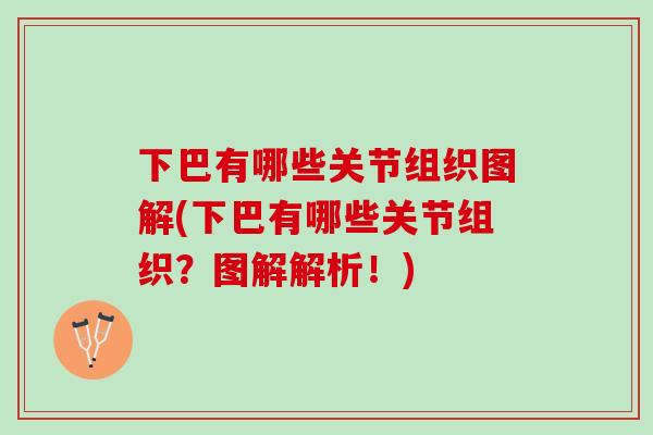 下巴有哪些关节组织图解(下巴有哪些关节组织？图解解析！)