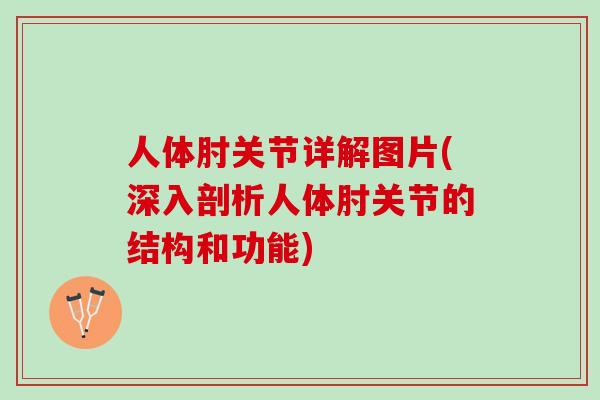 人体肘关节详解图片(深入剖析人体肘关节的结构和功能)