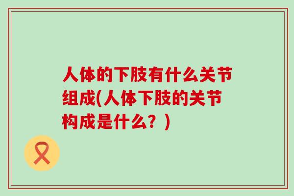 人体的下肢有什么关节组成(人体下肢的关节构成是什么？)