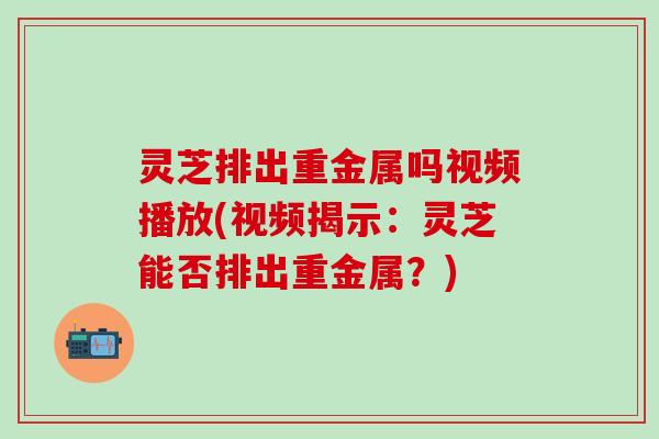 灵芝排出重金属吗视频播放(视频揭示：灵芝能否排出重金属？)
