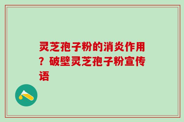 灵芝孢子粉的消炎作用？破壁灵芝孢子粉宣传语