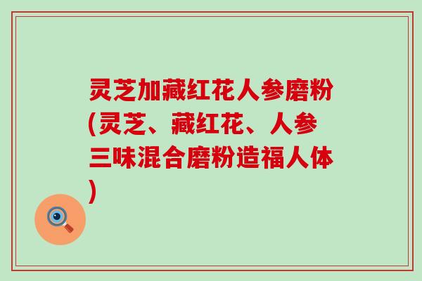 灵芝加藏红花人参磨粉(灵芝、藏红花、人参三味混合磨粉造福人体)