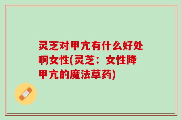 灵芝对甲亢有什么好处啊女性(灵芝：女性降甲亢的魔法草药)