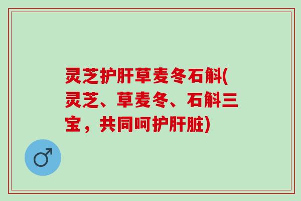 灵芝护肝草麦冬石斛(灵芝、草麦冬、石斛三宝，共同呵护肝脏)