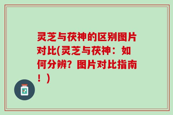 灵芝与茯神的区别图片对比(灵芝与茯神：如何分辨？图片对比指南！)