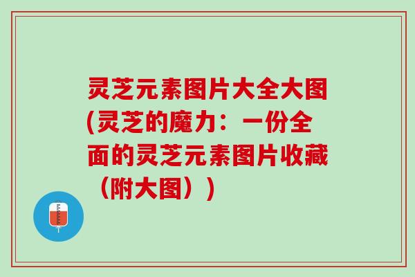 灵芝元素图片大全大图(灵芝的魔力：一份全面的灵芝元素图片收藏（附大图）)