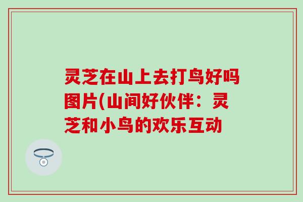 灵芝在山上去打鸟好吗图片(山间好伙伴：灵芝和小鸟的欢乐互动