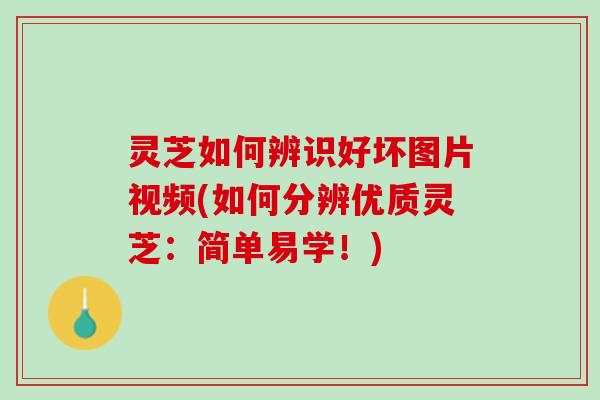 灵芝如何辨识好坏图片视频(如何分辨优质灵芝：简单易学！)