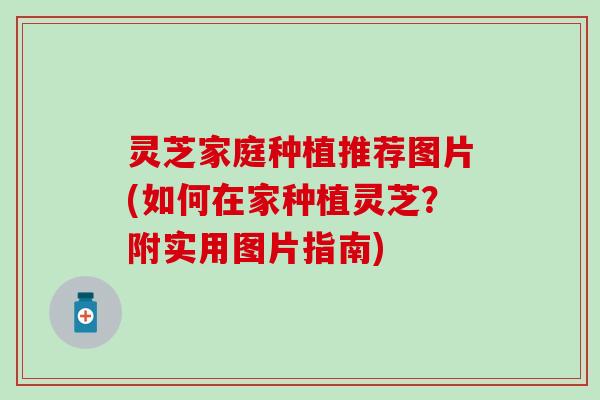 灵芝家庭种植推荐图片(如何在家种植灵芝？附实用图片指南)