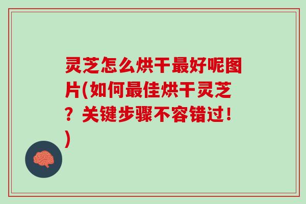 灵芝怎么烘干最好呢图片(如何最佳烘干灵芝？关键步骤不容错过！)