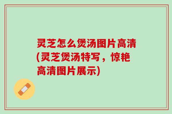 灵芝怎么煲汤图片高清(灵芝煲汤特写，惊艳高清图片展示)