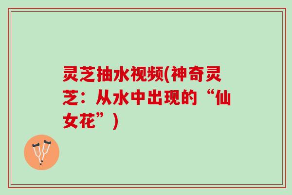 灵芝抽水视频(神奇灵芝：从水中出现的“仙女花”)