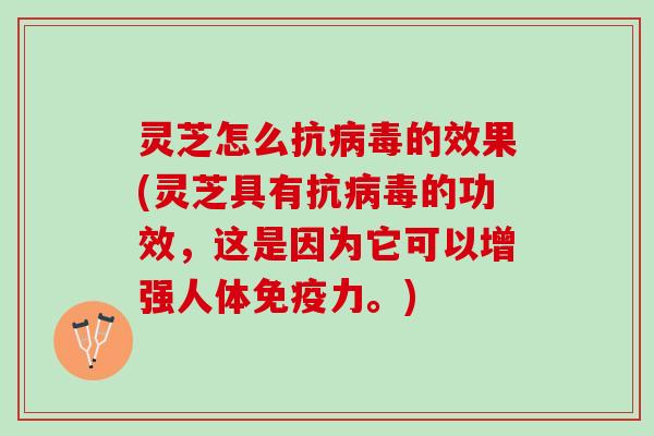 灵芝怎么抗病毒的效果(灵芝具有抗病毒的功效，这是因为它可以增强人体免疫力。)