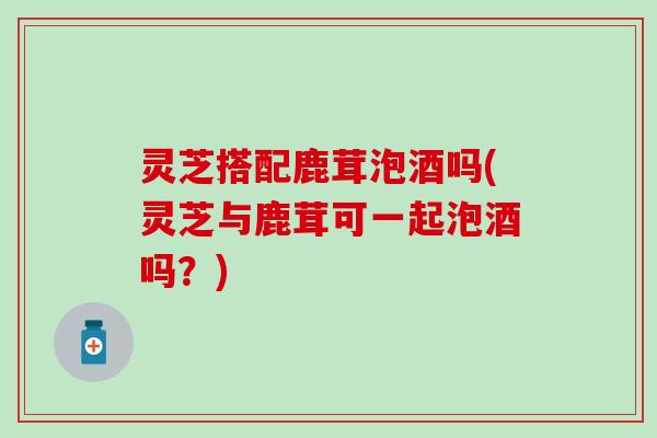 灵芝搭配鹿茸泡酒吗(灵芝与鹿茸可一起泡酒吗？)