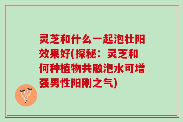 灵芝和什么一起泡壮阳效果好(探秘：灵芝和何种植物共融泡水可增强男性阳刚之气)