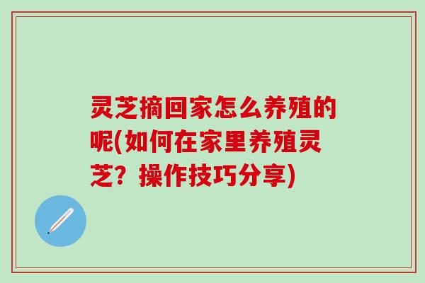 灵芝摘回家怎么养殖的呢(如何在家里养殖灵芝？操作技巧分享)