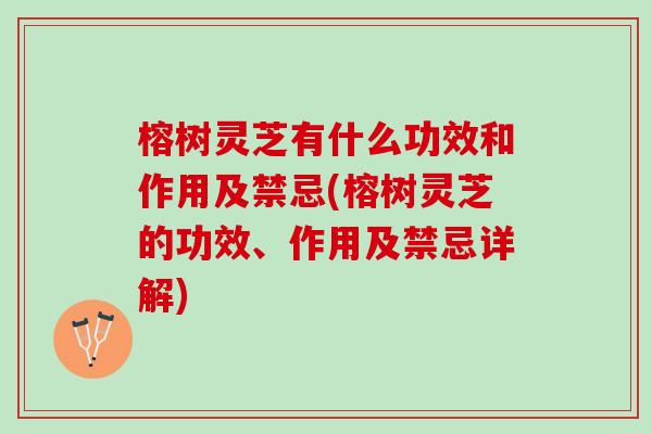 榕树灵芝有什么功效和作用及禁忌(榕树灵芝的功效、作用及禁忌详解)
