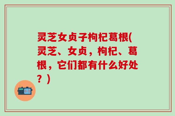 灵芝女贞子枸杞葛根(灵芝、女贞，枸杞、葛根，它们都有什么好处？)