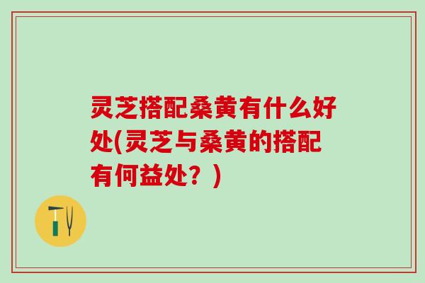 灵芝搭配桑黄有什么好处(灵芝与桑黄的搭配有何益处？)