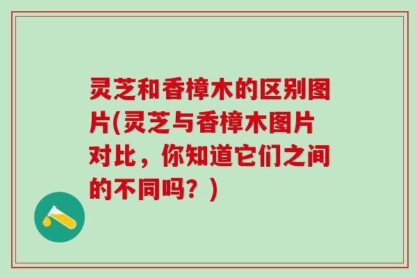 灵芝和香樟木的区别图片(灵芝与香樟木图片对比，你知道它们之间的不同吗？)