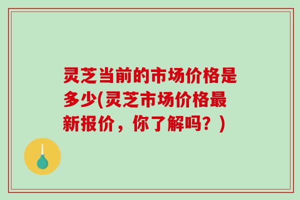 灵芝当前的市场价格是多少(灵芝市场价格最新报价，你了解吗？)