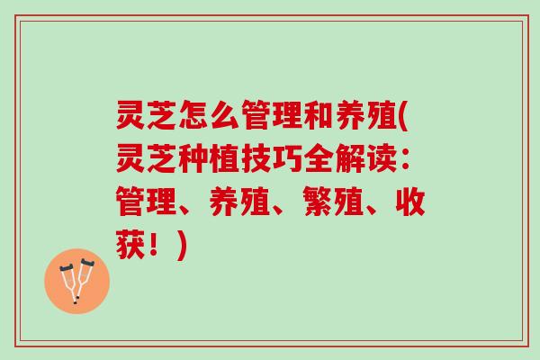 灵芝怎么管理和养殖(灵芝种植技巧全解读：管理、养殖、繁殖、收获！)