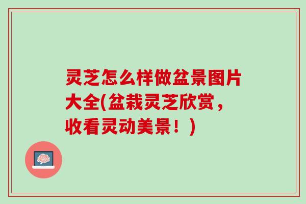 灵芝怎么样做盆景图片大全(盆栽灵芝欣赏，收看灵动美景！)