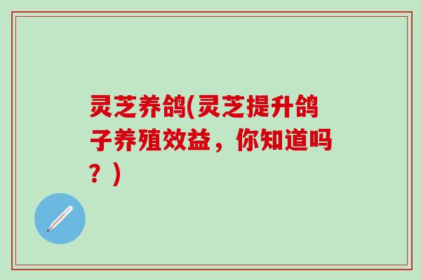 灵芝养鸽(灵芝提升鸽子养殖效益，你知道吗？)
