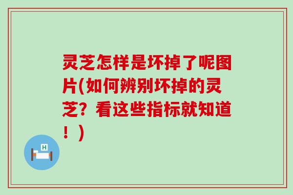 灵芝怎样是坏掉了呢图片(如何辨别坏掉的灵芝？看这些指标就知道！)