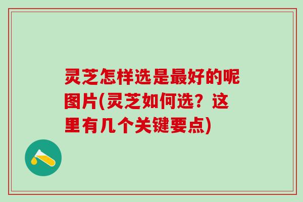 灵芝怎样选是最好的呢图片(灵芝如何选？这里有几个关键要点)