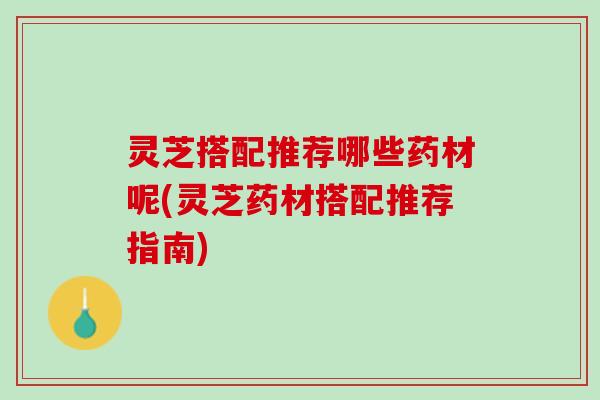 灵芝搭配推荐哪些药材呢(灵芝药材搭配推荐指南)