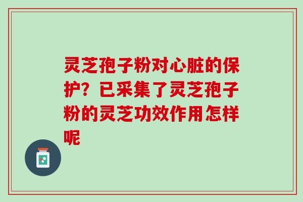 灵芝孢子粉对心脏的保护？已采集了灵芝孢子粉的灵芝功效作用怎样呢