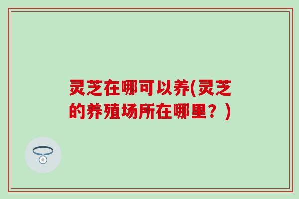 灵芝在哪可以养(灵芝的养殖场所在哪里？)