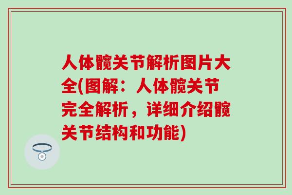 人体髋关节解析图片大全(图解：人体髋关节完全解析，详细介绍髋关节结构和功能)