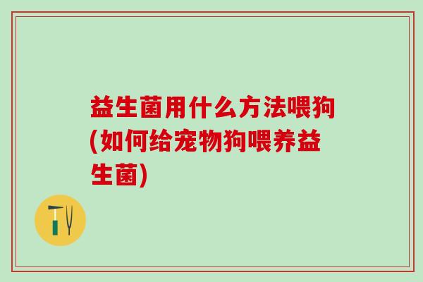 益生菌用什么方法喂狗(如何给宠物狗喂养益生菌) 益生菌用什么方法喂狗(如何给宠物狗喂养益生菌)