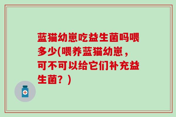 蓝猫幼崽吃益生菌吗喂多少(喂养蓝猫幼崽，可不可以给它们补充益生菌？)