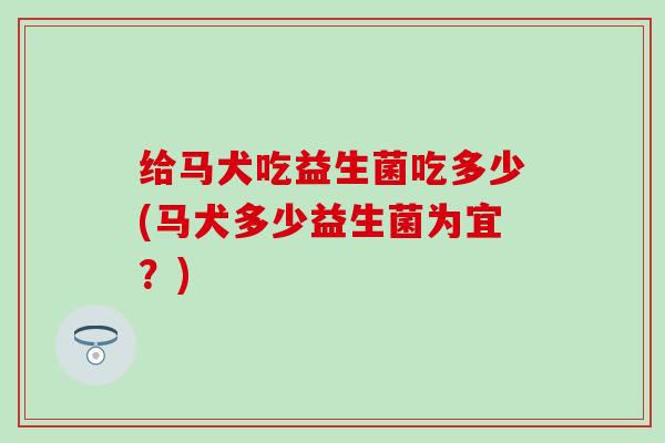 给马犬吃益生菌吃多少(马犬多少益生菌为宜？)