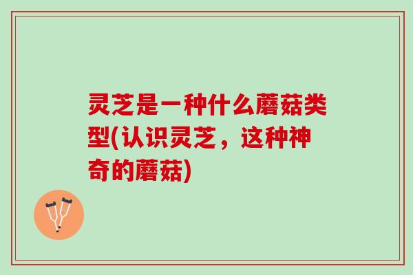 灵芝是一种什么蘑菇类型(认识灵芝，这种神奇的蘑菇)