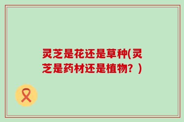 灵芝是花还是草种(灵芝是药材还是植物？)